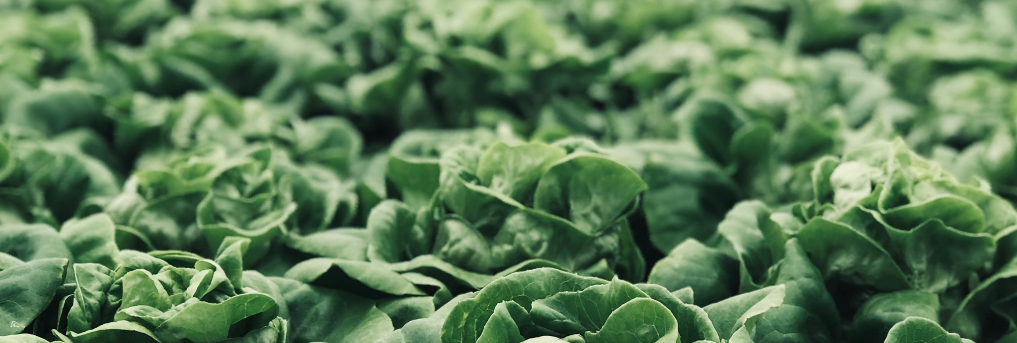 5 Steps Hospitality Leaders Should Take to Reduce Food Waste on a Global Scale