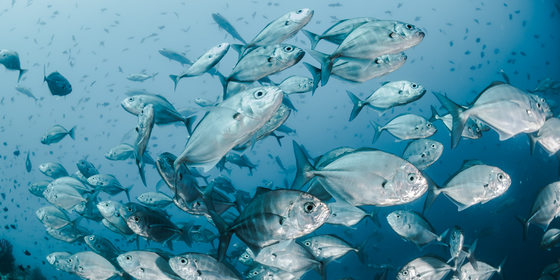 World Food Day: Hidden Cost of Water in Food Waste